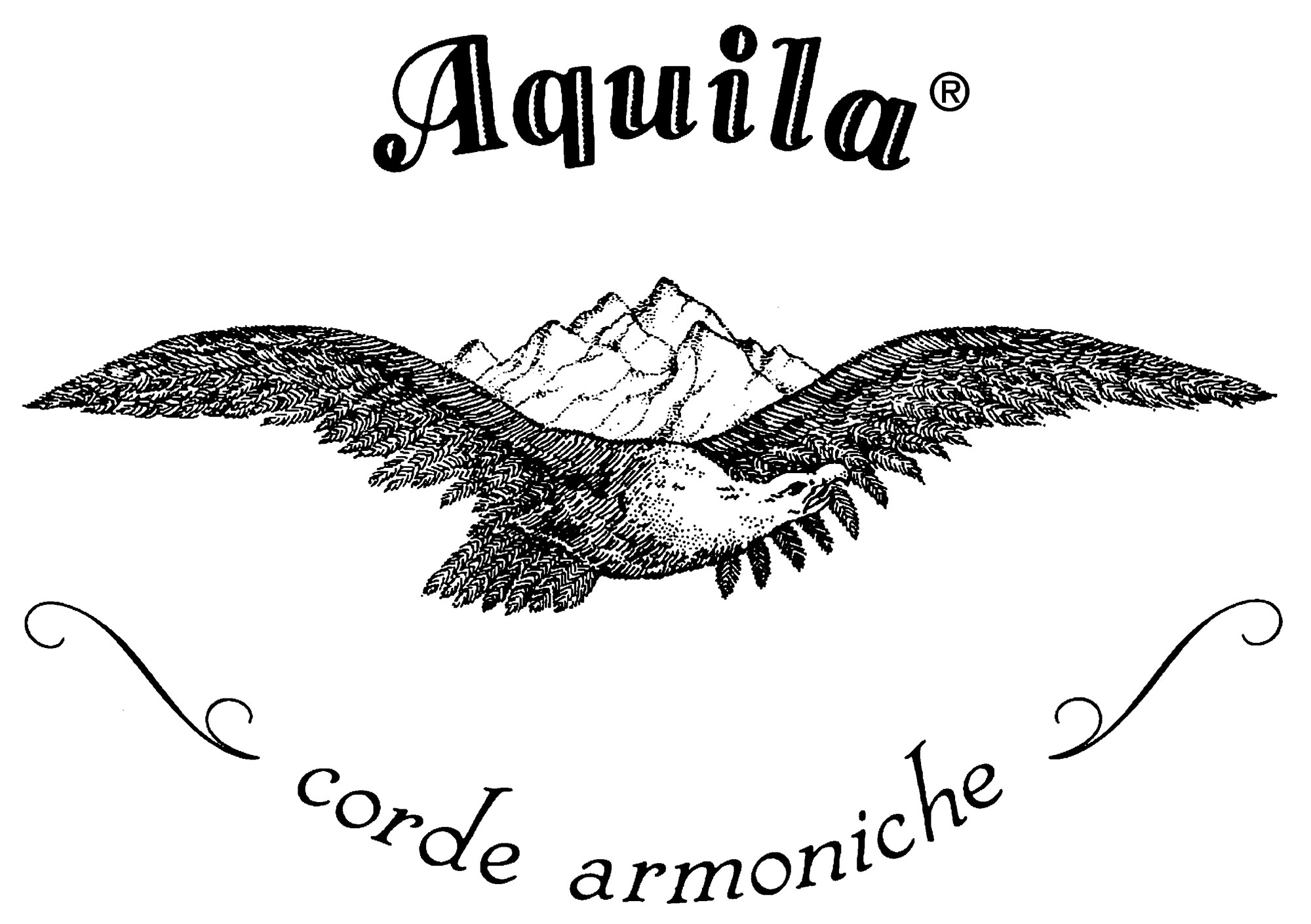 Aquila Strings China